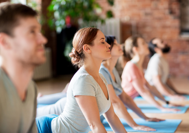 Yoga courses for beginners