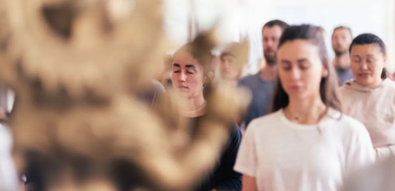 Beyond the Mat: How to Live a Yogic Lifestyle?